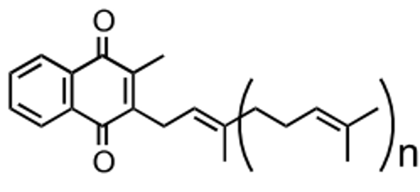 <p>the form of vitamin K produced by bacteria in the colon</p>