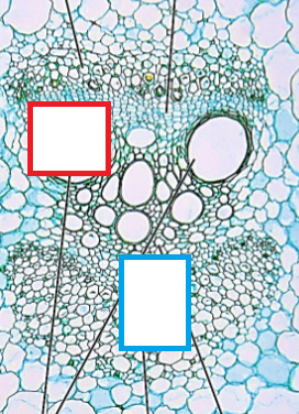 <p>label</p>