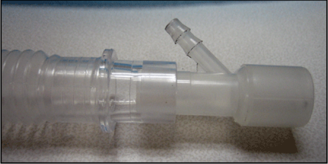 <p>what is skinny end and what it thicker end</p>