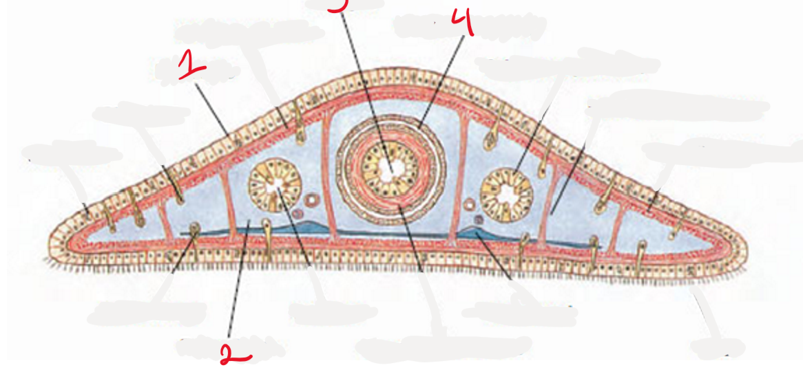 <p>What is 3</p>