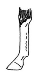 <p></p>