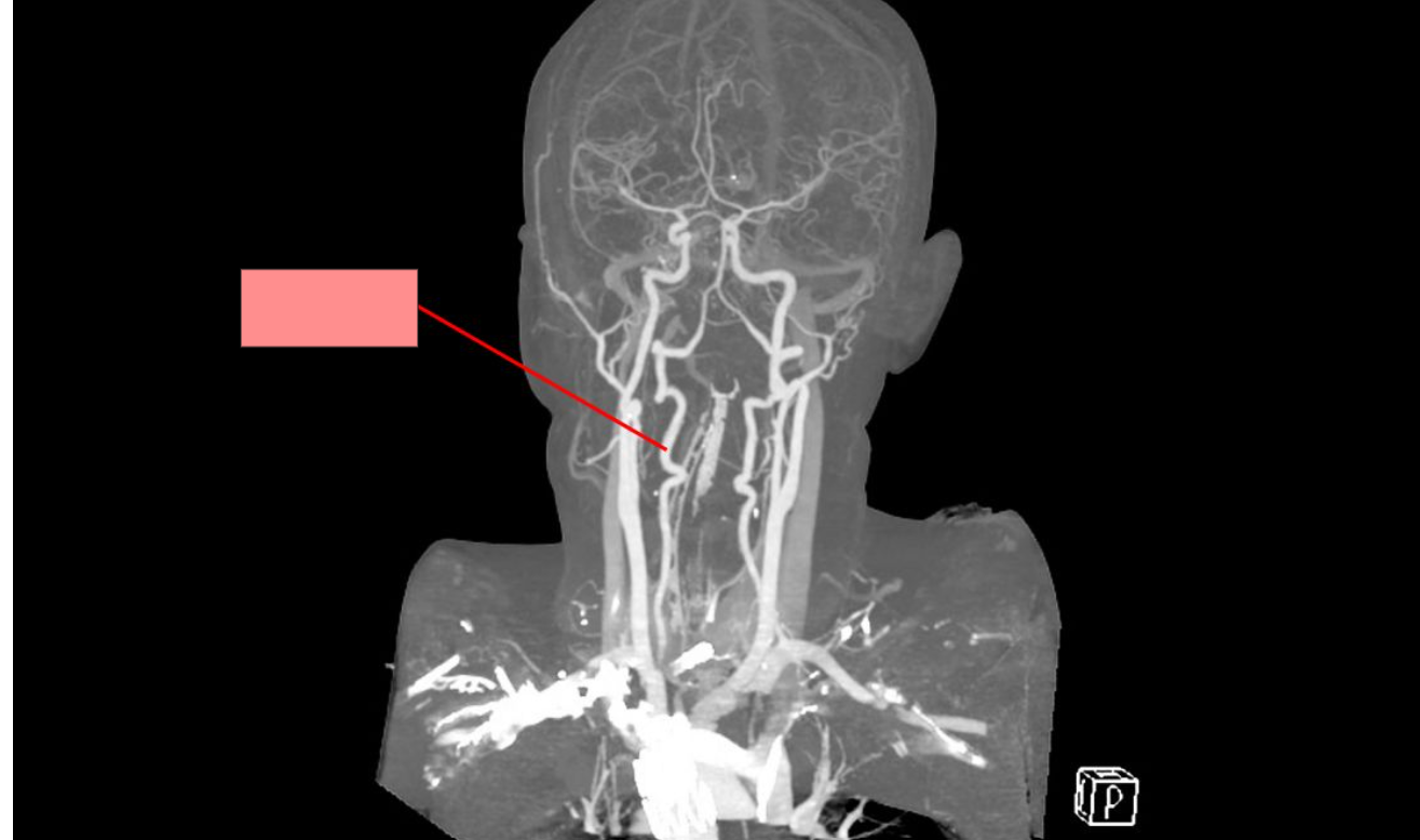 <p>What is this structure?</p>