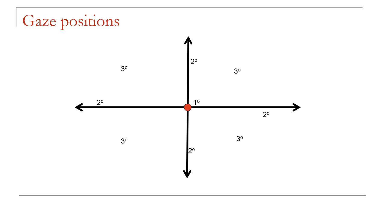 <ul><li><p>Primary: straight ahead position</p></li><li><p>Secondary: points along the horizontal and vertical axes from primary position </p></li><li><p>Tertiary: all other positions </p></li></ul><p></p>
