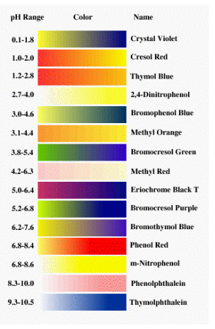 <ul><li><p><span style="background-color: transparent; font-family: "Twentieth Century", sans-serif;">The most common method to get an idea about the pH of solution is to use an acid base indicator</span></p><ul><li><p><span style="background-color: transparent; font-family: "Twentieth Century", sans-serif;">An indicator is a chemical that changes colour depending on the pH</span></p></li></ul></li><li><p><span style="background-color: transparent; font-family: "Twentieth Century", sans-serif;">A variety of indicators change colour at various pH levels</span></p></li></ul><p></p>