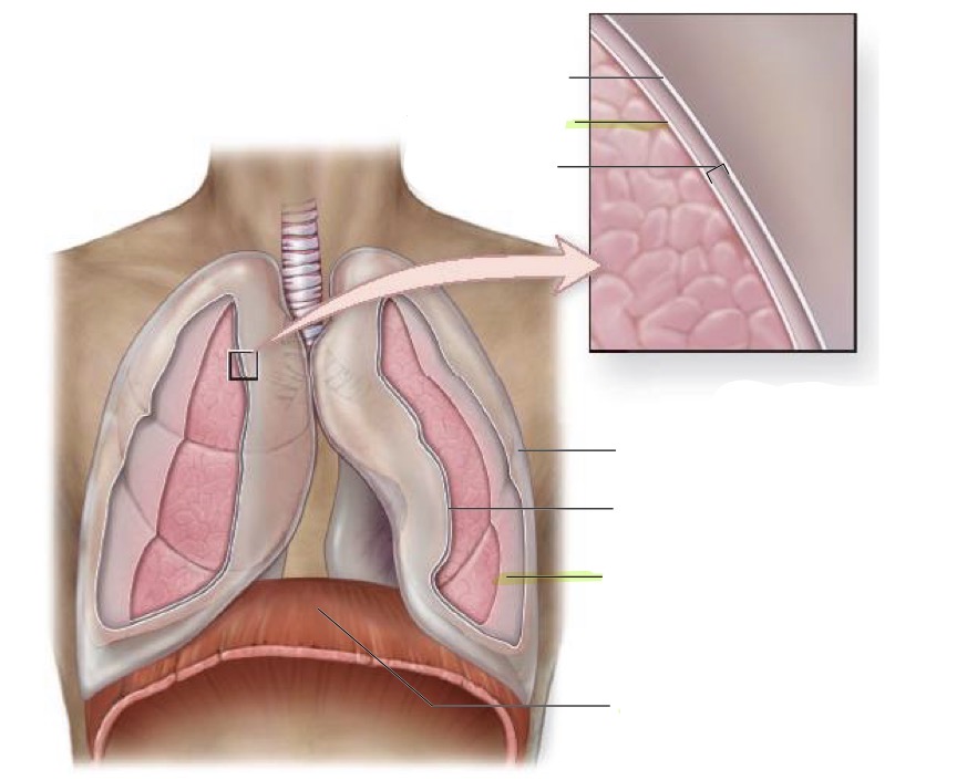 <p>what is this </p>