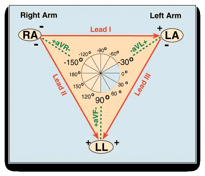 <p>Lead I + Lead III = Lead II.</p>