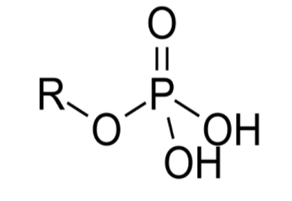 <p>What functional group is this?</p>