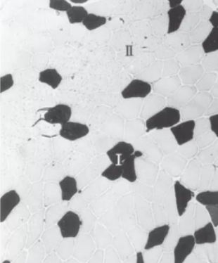 <p>what types of sport does this person likely play</p>