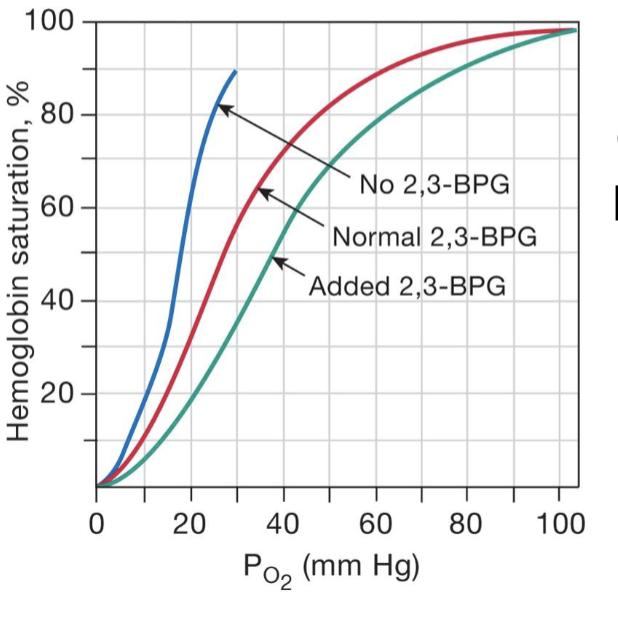 <ul><li><p>2,3-bisphosphoglycerate (an intermediary of the glycolysis pathway)</p></li><li><p>causes for an increase in BPG</p></li><li><p>chronic hypoxia from living at high altitudes</p></li></ul><p></p>