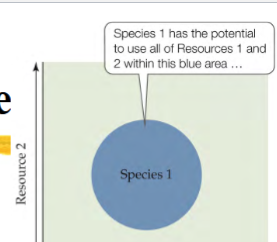 <p>ALL area in which an individual/species <em>can</em> live</p><p>all areas where a species has the <strong>potential</strong> to use all of certain resources</p>