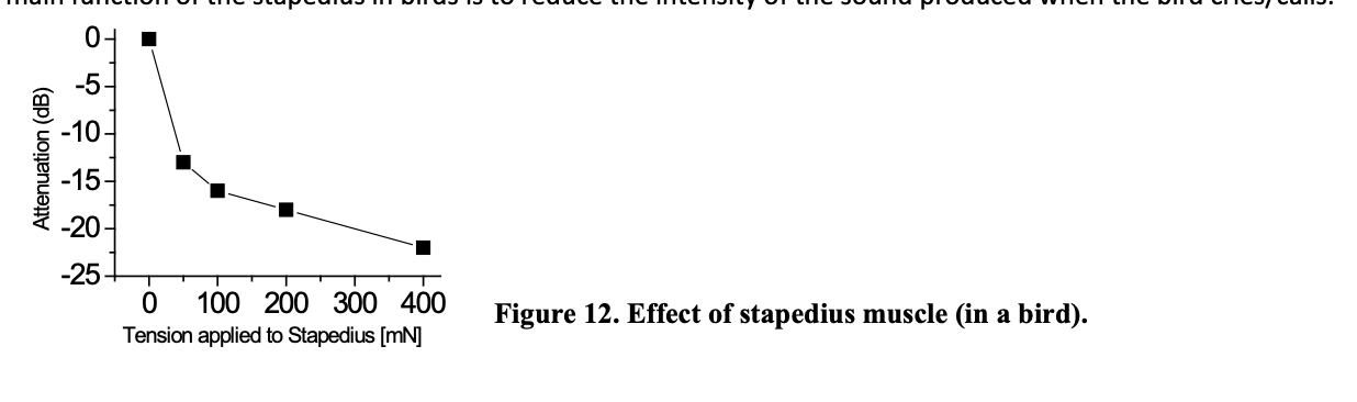 <p>RESULT: decrease attenuation to sound with increased stapieus contraction</p><ul><li><p>SUGGESTS: birds reduce intensity of sound produced when the bird cries/calls</p></li></ul><p></p>