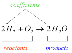 <p>Ending materials in a chemical reaction.</p>