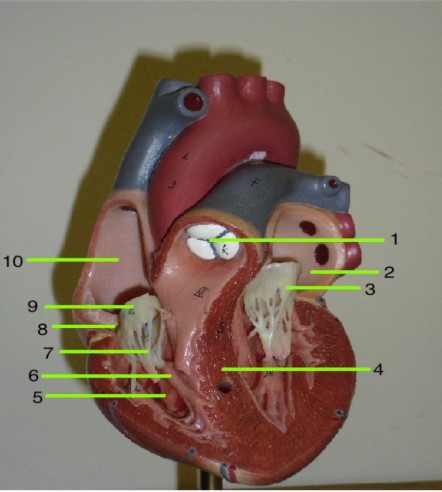<p>4</p>