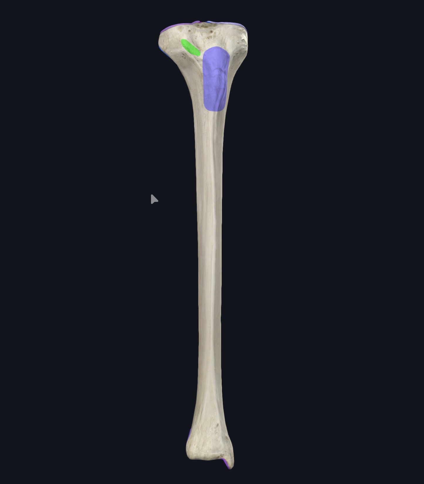 <p>¿Qué es esto?</p>