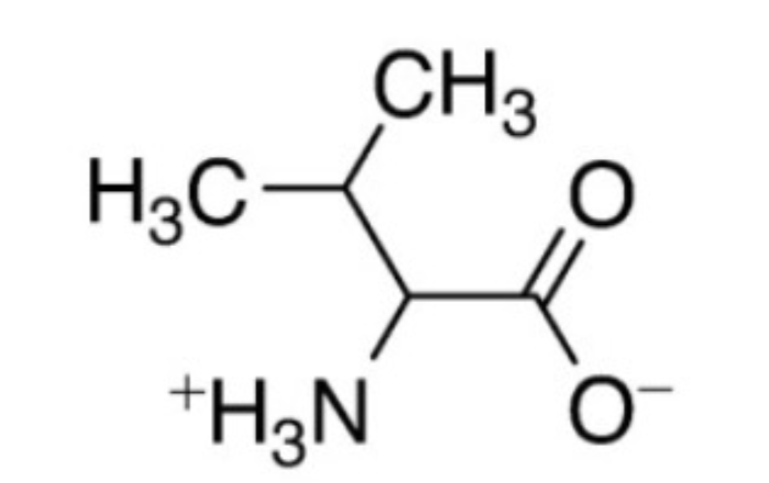<p>Amino Acid: Single letter designation, Three letter designation, Grouping of the amino acids</p>