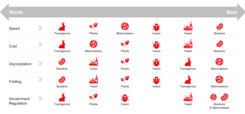 <p>Bacterial or mammalian system?<br>Transient or stable?<br>Inducible or constitutive?<br>Viral or non-viral delivery?</p><p>a cloning experiment - it is important it is IN FRAME</p><p></p>