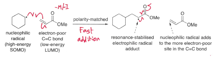 <p>Nucleophilic radicals prefer to add to the most electron-poor site of a C=C bond, whereas electrophilic radicals prefer to add to the most electron-rich site.</p>