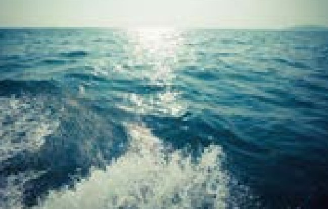 <p>море</p>