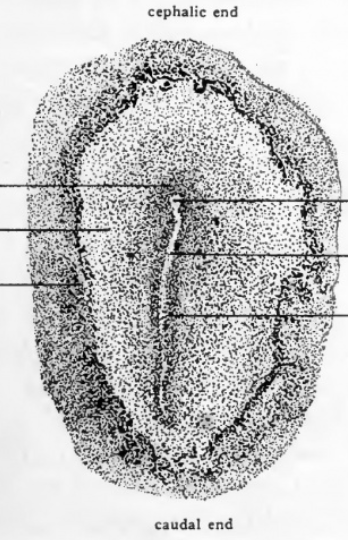 <p>What does this image display?</p>