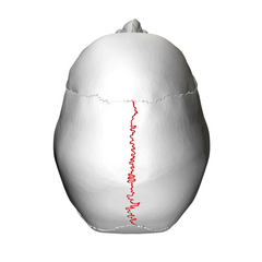<p>Identify this part.</p>