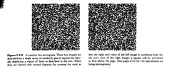 <p>d. the parvocellular system cannot perceive stereo</p>