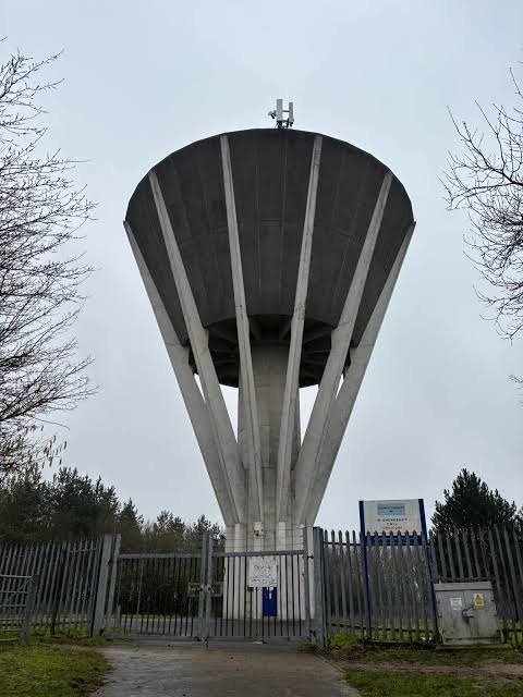 term image