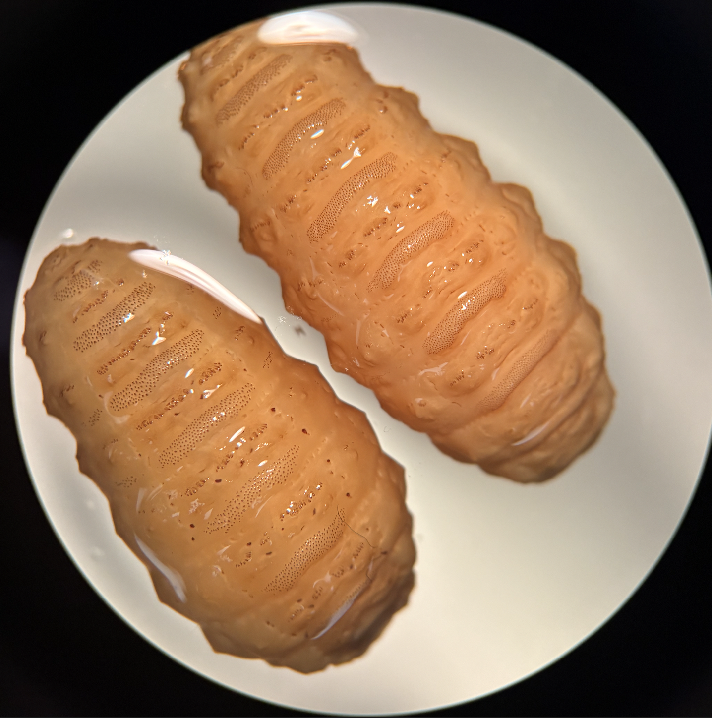 <ul><li><p>name</p></li><li><p>host</p></li><li><p>target tissue</p></li><li><p>identifying features</p></li></ul><p></p>