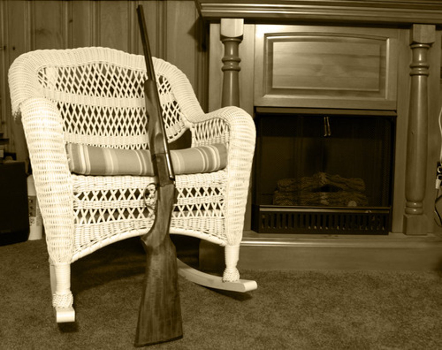 <p>the right to bear arms</p>