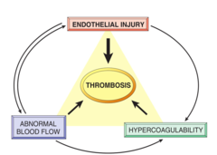 <p>1. endothelial injury</p><p>2. abnormal blood flow</p><p>3. hypercoagulability</p>