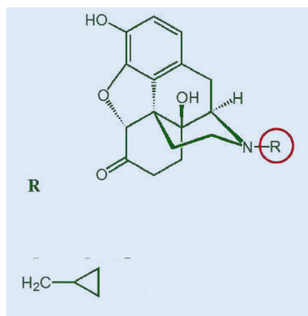 <p>Riconosci la molecola:</p>