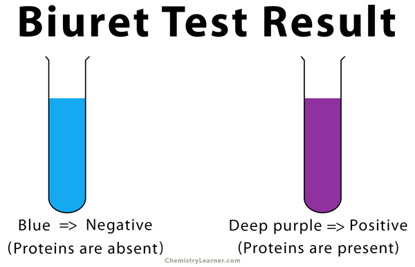<p>Used to test for protiens.</p>