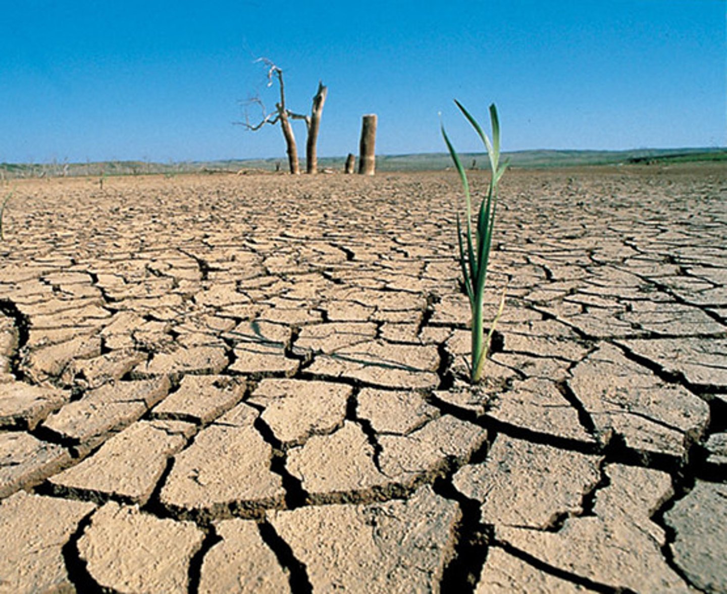 <p>A long period of dry weather</p>