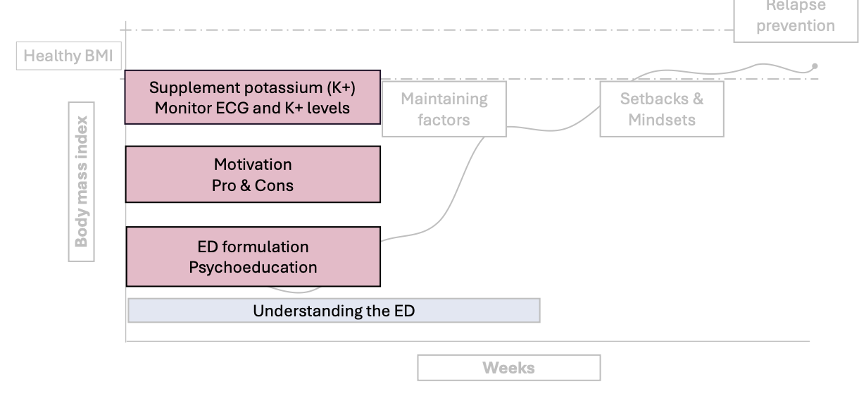 <ul><li><p>Very first stage of treatment, before real behaviour change starts: getting the person ready and safe to begin treatment</p></li><li><p>Physical safety first</p><ul><li><p>Check health</p></li><li><p>Monitor heart (ECG) and potassium (K+)</p></li><li><p>Give supplements if needed</p></li></ul></li><li><p>Build motivation</p><ul><li><p>Talk about pros and cons of the eating disorder</p></li></ul></li><li><p>Understand the eating disorder</p><ul><li><p>Psychoeducation (learning about the disorder)</p></li><li><p>Create a personal explanation (formulation) of what keeps the problem going</p></li><li><p>Other potential barriers should be explored </p></li></ul></li></ul><p></p>