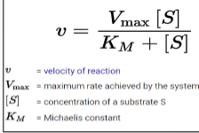 <p>used to model enzyme-substrate reaction via v = (Vmax[S])/(Km+[S])</p>