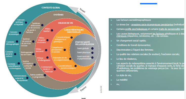 <p>Un déterminant est un facteur qui influence positivement ou négativement la santé mentale.</p><p>Il peut être lié :</p><ul><li><p>Aux caractéristiques individuelles ;</p></li><li><p>Au milieu de vie ;</p></li><li><p>Aux systèmes sociaux et sanitaires ;</p></li><li><p>Au contexte politique, économique et culturel ;</p></li><li><p>À l’environnement global.</p></li></ul><p></p>