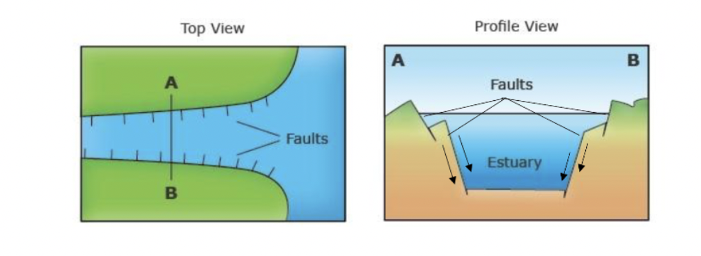 <p>estuary formed from tectonic activity resulting in land sinking and water flowing into basins</p>