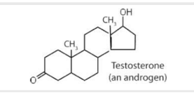 <p>What does testoerione do? </p>