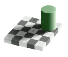 <p>Adelson's Checker=Shadow Illusion: When looking at the following image, what square do you perceive to be brighter?</p>