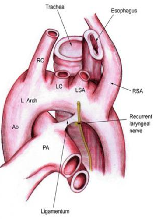 <p>what does this image depict?</p>