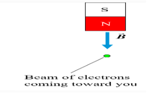 <p>A beam of electrons is coming out of the screen in the presence of a magnet as show in the picture. direction of force?</p>