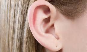 <p>outer ear</p>