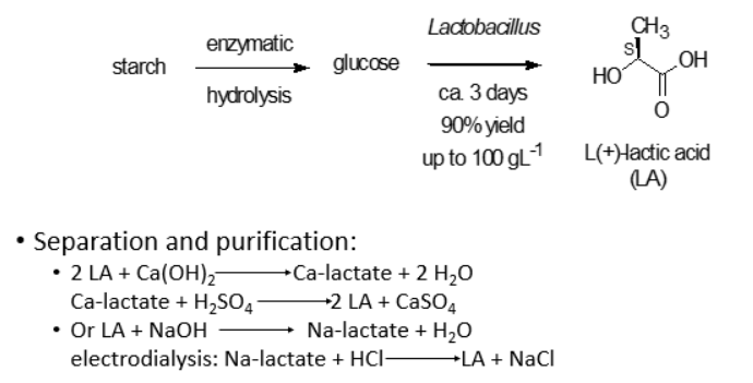 <p>= very common biopolymer, and a polymer of polylactic acid obtained from<strong> bacterial fermentation</strong></p><ul><li><p>glucose is obtained from enzymatic hydrolysis of starch which is fed to bacetria (<strong>Lactobacillus</strong>) and produce enantiomerically pure LA (efficiently 90% yield)</p></li><li><p>this is important as the polymer composed of pure (S)-LA has much better material properties than form a entionmeric mixture</p></li></ul><p>But</p><ul><li><p>bacetria produce LA in complicated mixture of other fermentation products, which is a difficult and energy intensive separation</p></li></ul><p>Separation:</p><ul><li><p>treatment with Ca(OH)2 producing Ca-lactate, which is liberated by treatment with sulfuric acid</p><ul><li><p>this produces CaSO4, not a useful side product (gypsum)</p></li></ul></li><li><p>treatment with NaOH is better productin Na-lactate salt</p><ul><li><p>ca(OH)2 is produced from CaCO3 + heat —> CaO + CO2 / CaO + H2O —> Ca(OH)2</p></li><li><p>= energy intensive an liberates CO2</p></li><li><p>NaOH can be obtianed from electrolysis of aqueous NaCl, producing NaOH and Cl2 = both useful products and requires less E</p></li></ul></li><li><p>LA is then liberated by electrodialysis +<strong>HCl</strong></p></li></ul><p></p>