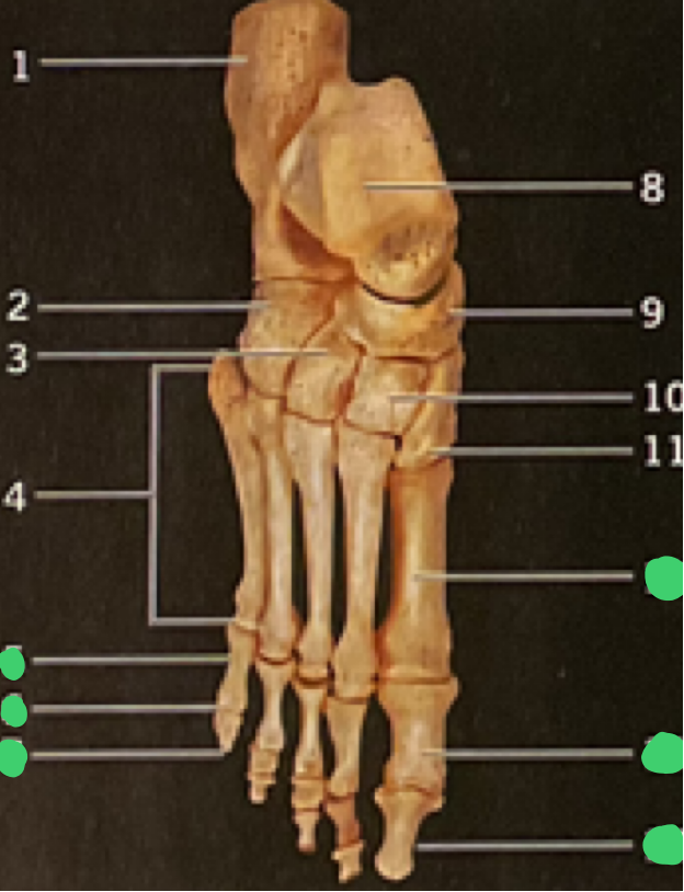 <p>4</p>