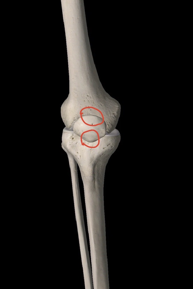 <p>What structure is this?</p>