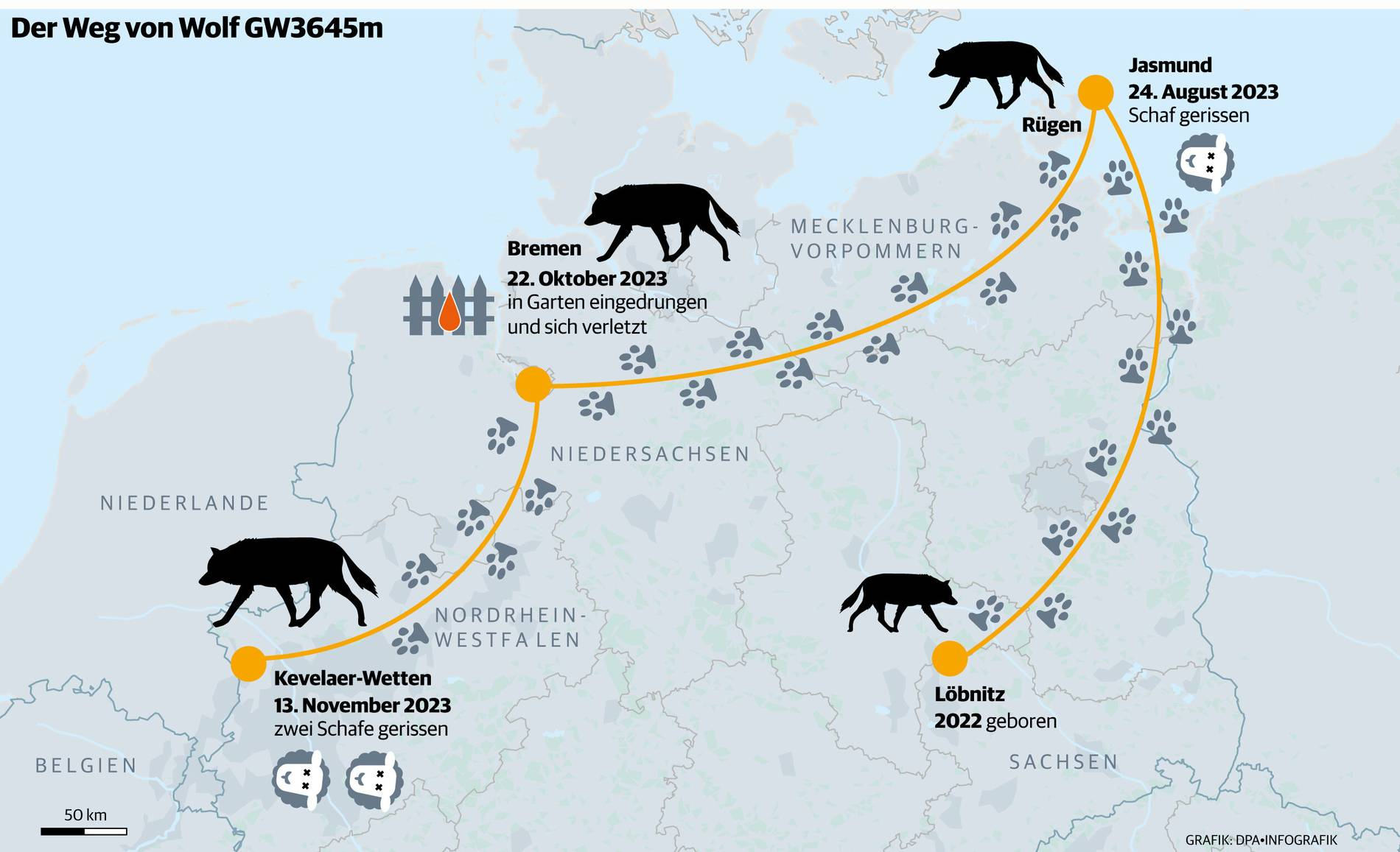 <p>depict flows when the actual flow is important</p><p>Routes of members of a wolf pack over the course of several maps</p>