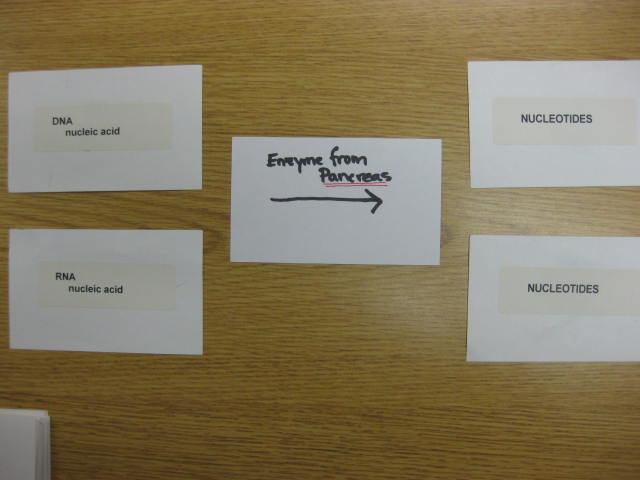 <p>Identify? </p><p>Lab Image 8-6</p>