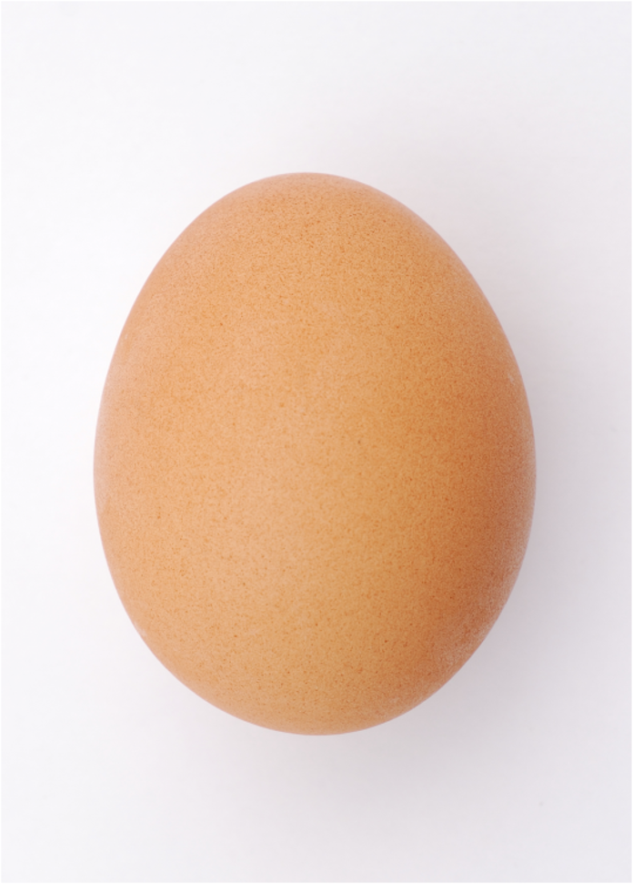 <p>oval shaped</p>
