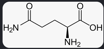 <p>What is this amino acid</p>