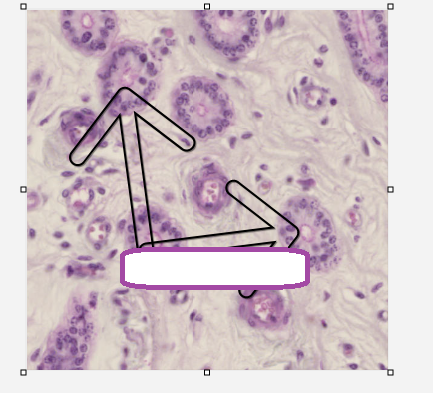 term image