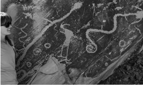 <p><span>The petroglyph in the image below is carved into _______, revealing the lighter-colored bedrock underneath.</span></p>